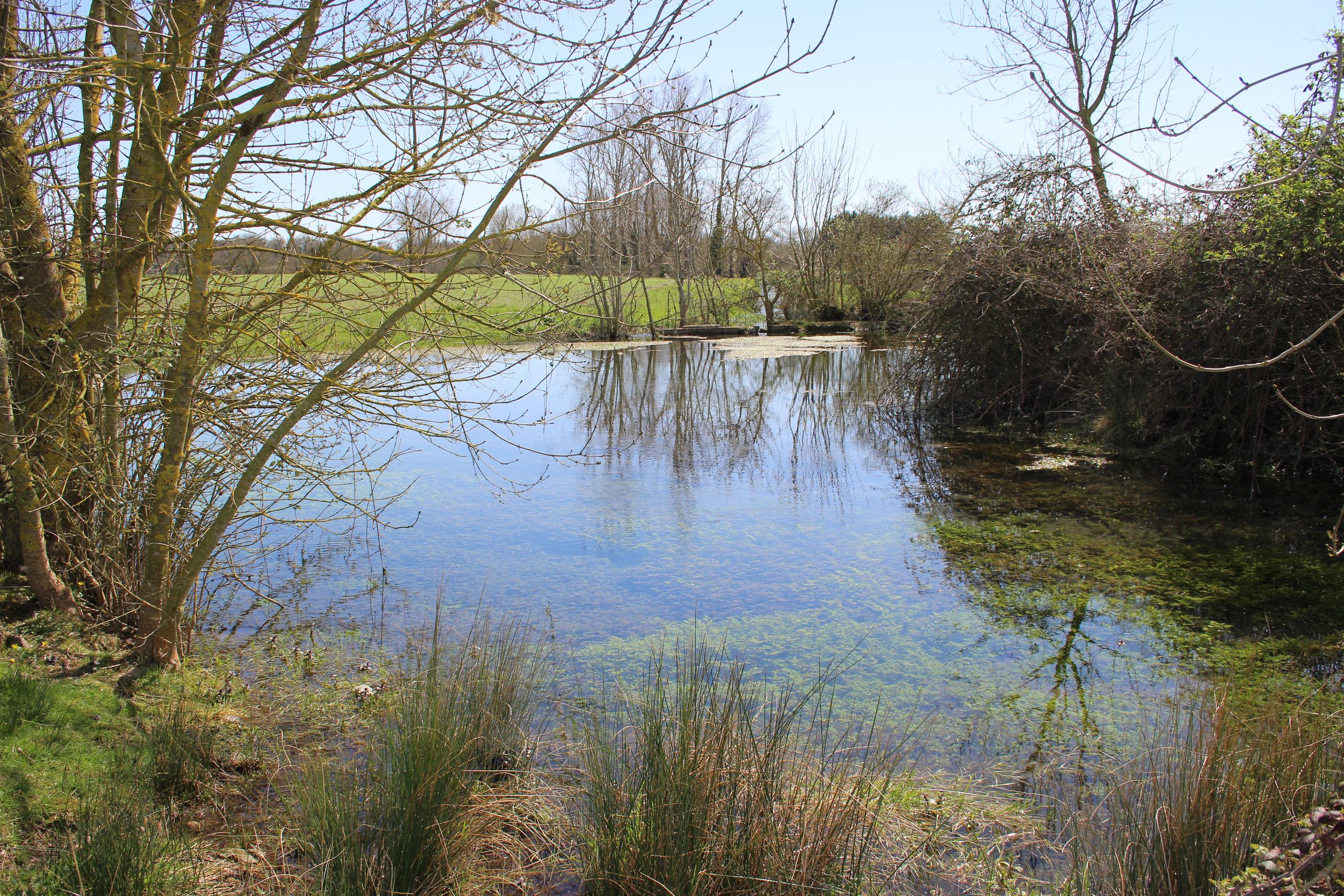 La Fontaine de Boine