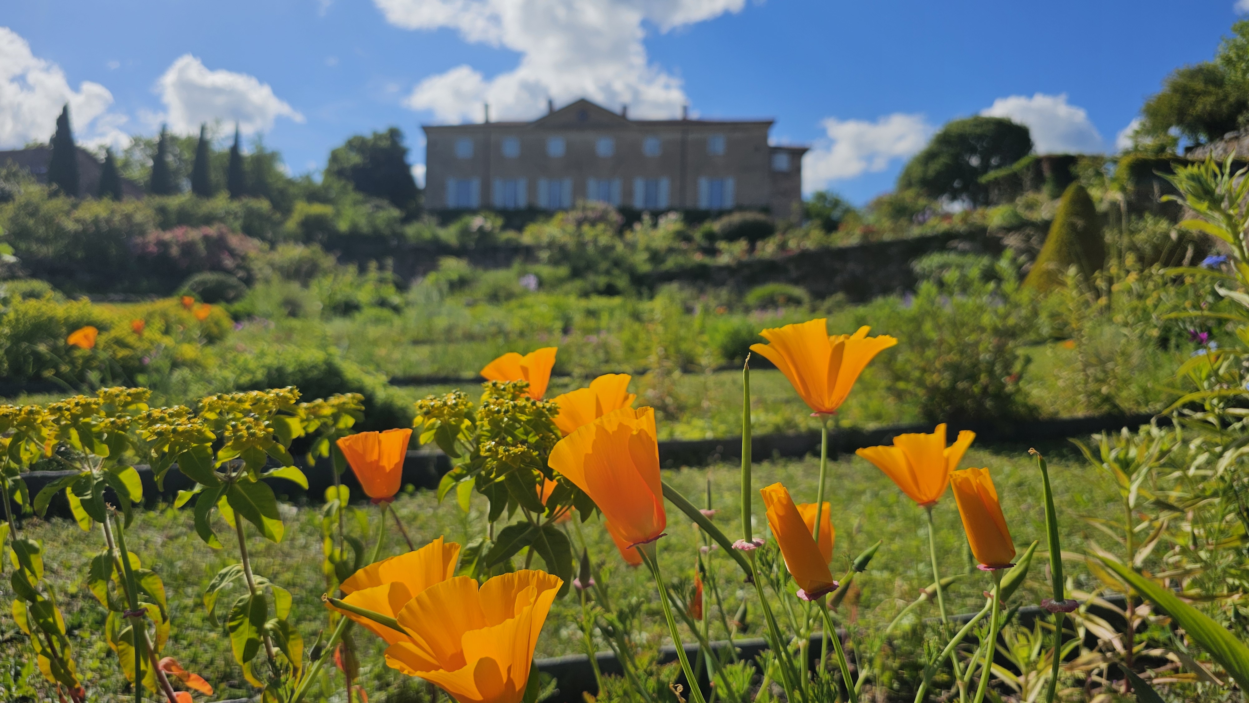 Visite guidée des Jardins de Brogieux - Rendez-vous aux Jardins