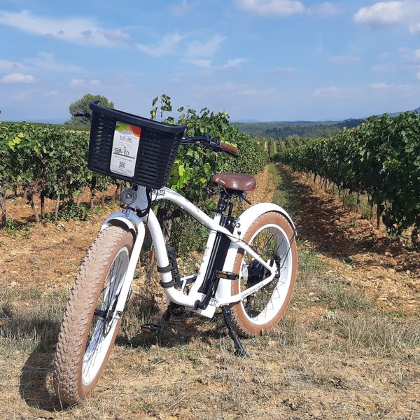 Amour, vignes et vélo