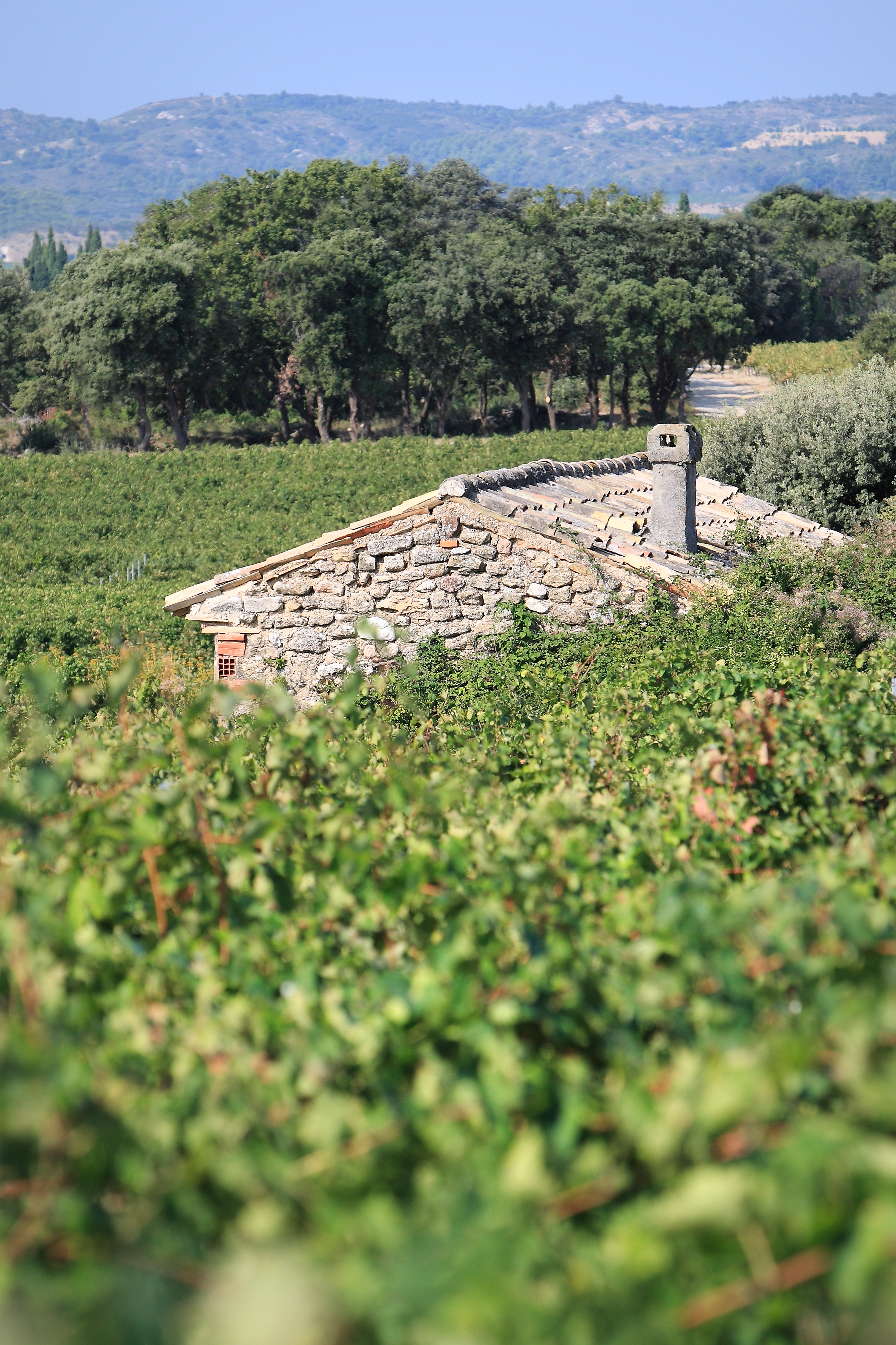 Domaine des Béates — photo 2