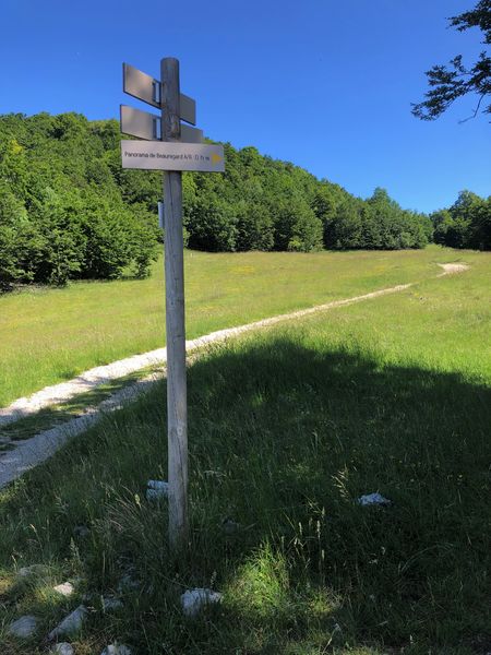 Parcours trail de la Ronde des Plans