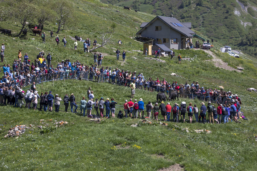 Transhum'en fête - © Patrick Domeyne