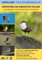 Découvrir les oiseaux et les chamois du Verdon - Castellane-it - Photo 2