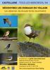 Découvrir les oiseaux et les chamois du Verdon_Castellane