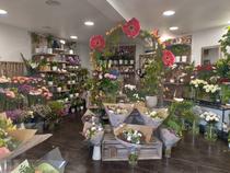 Plaisir Fleuri - Villeneuve-Loubet