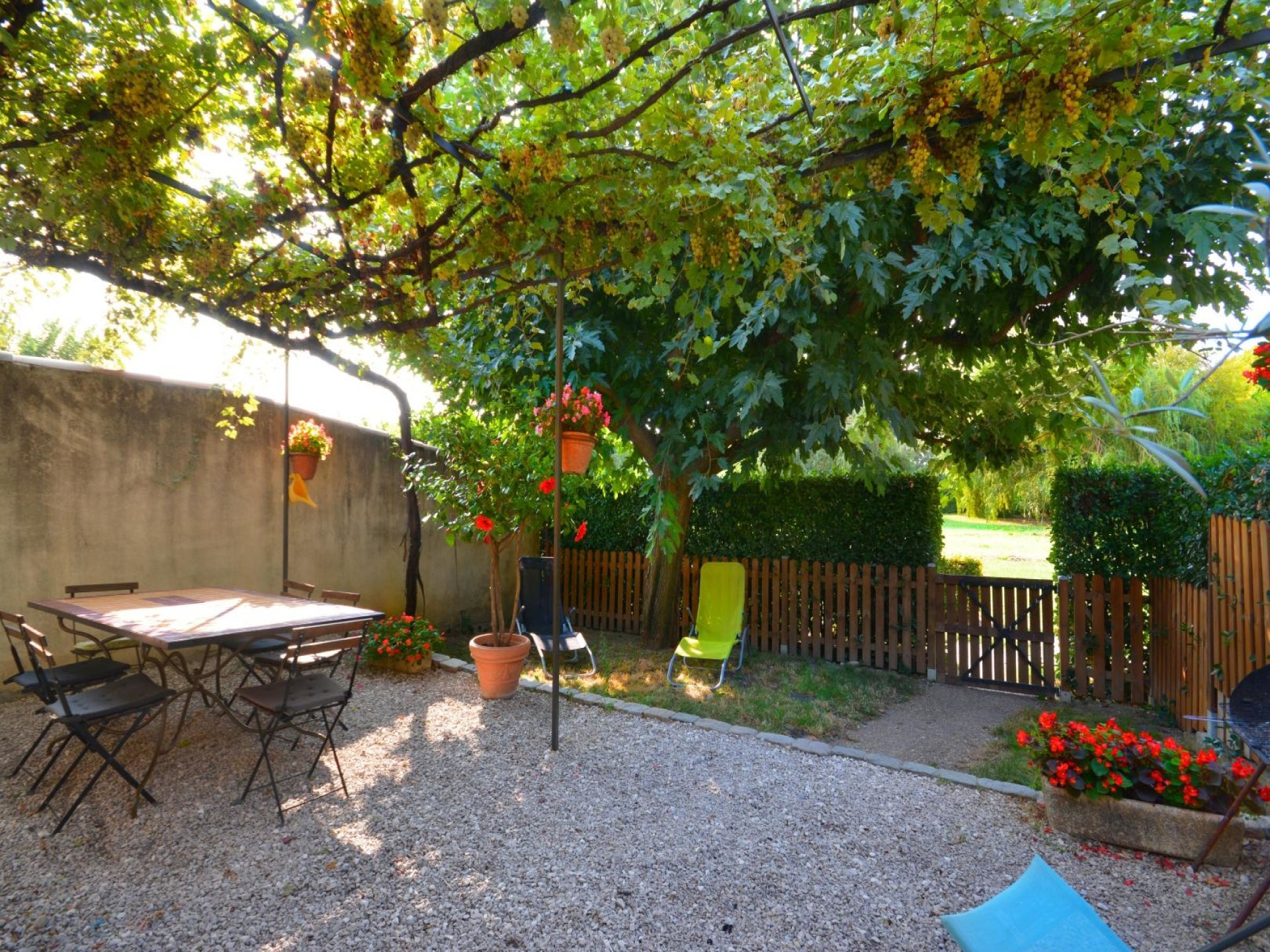 La Roubine, Mollégès - photo 39
