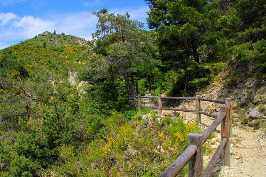 PEYROULES - La Circulaire