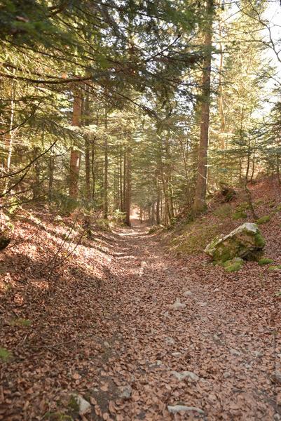 Piste VTC rouge Plan Goy Au départ de la Féclaz