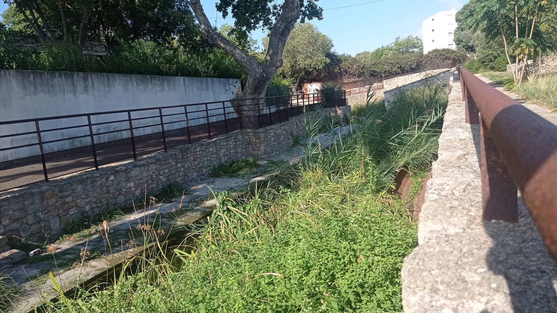 Visite du site archéologique de Tholon