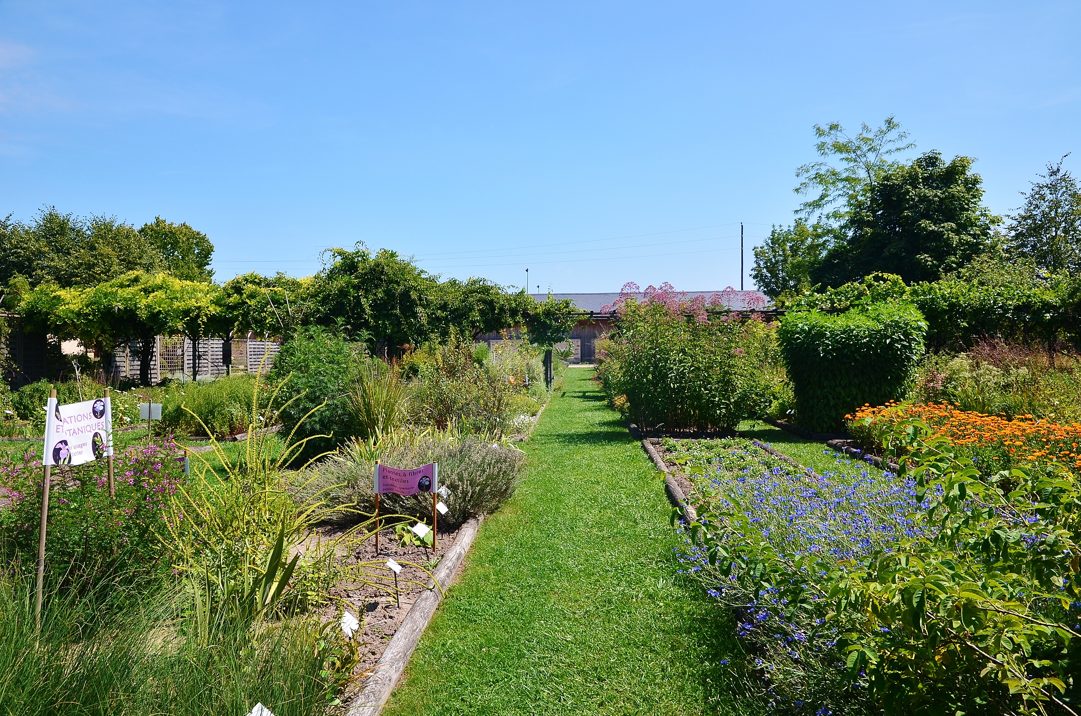 Conservatoire des Plantes