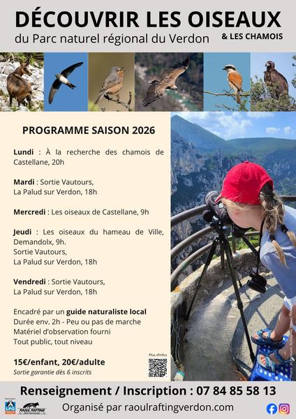 Découvrir les oiseaux et les chamois du Verdon_Castellane