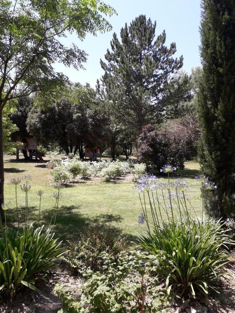 Mas des Princes, Noves - photo 46