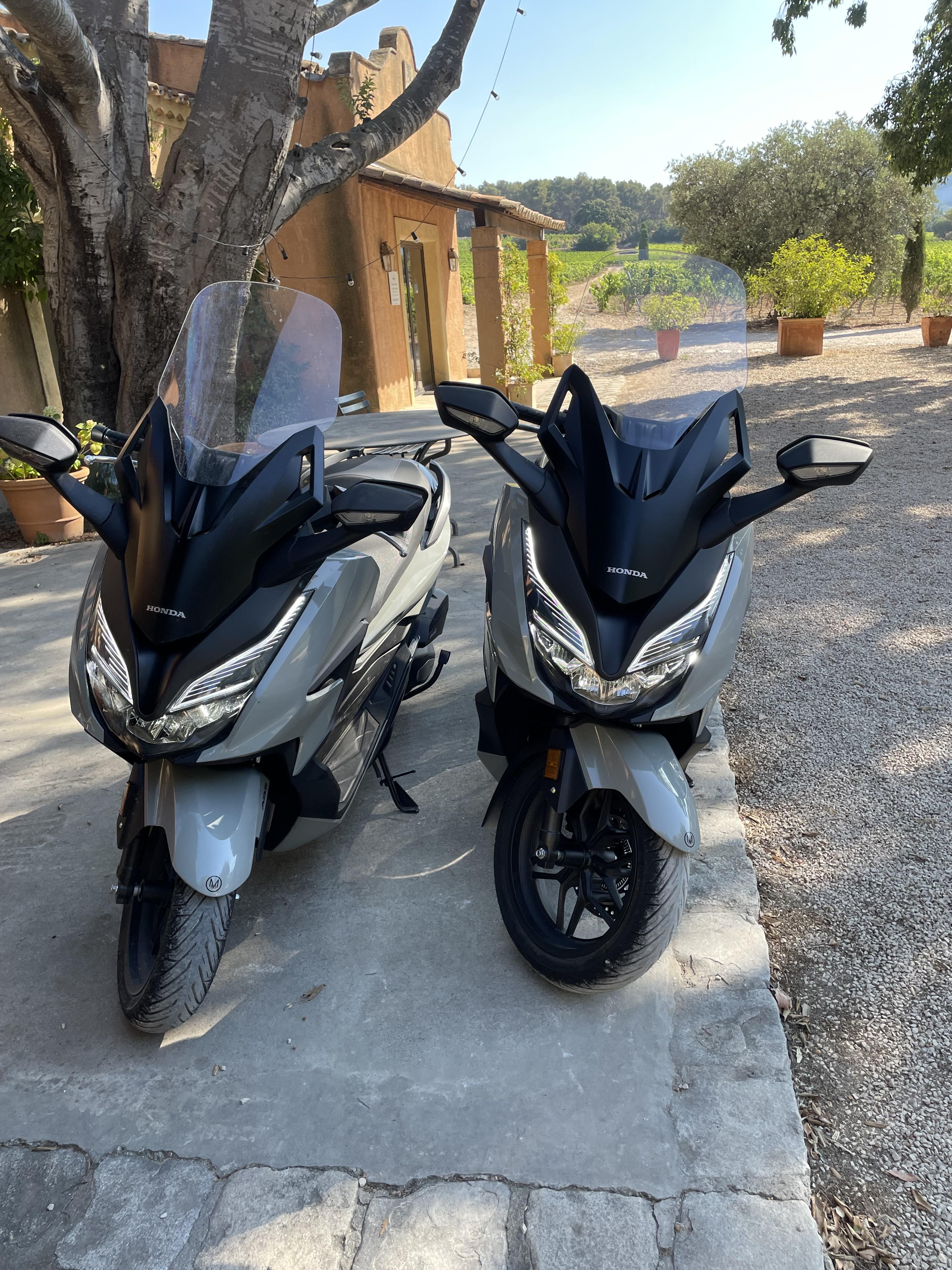 Calank Scoot - photo 2