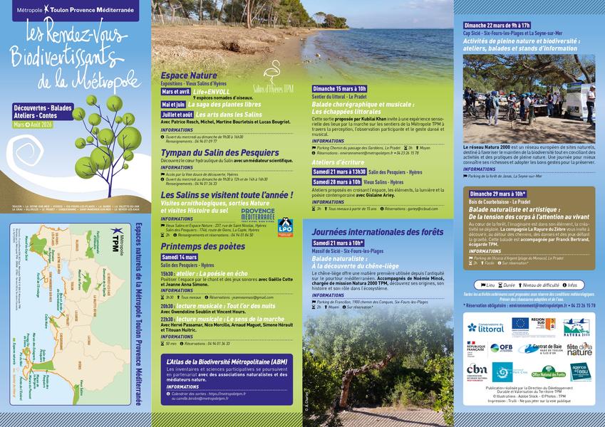 Abeilles en Seyne_La Seyne-sur-Mer