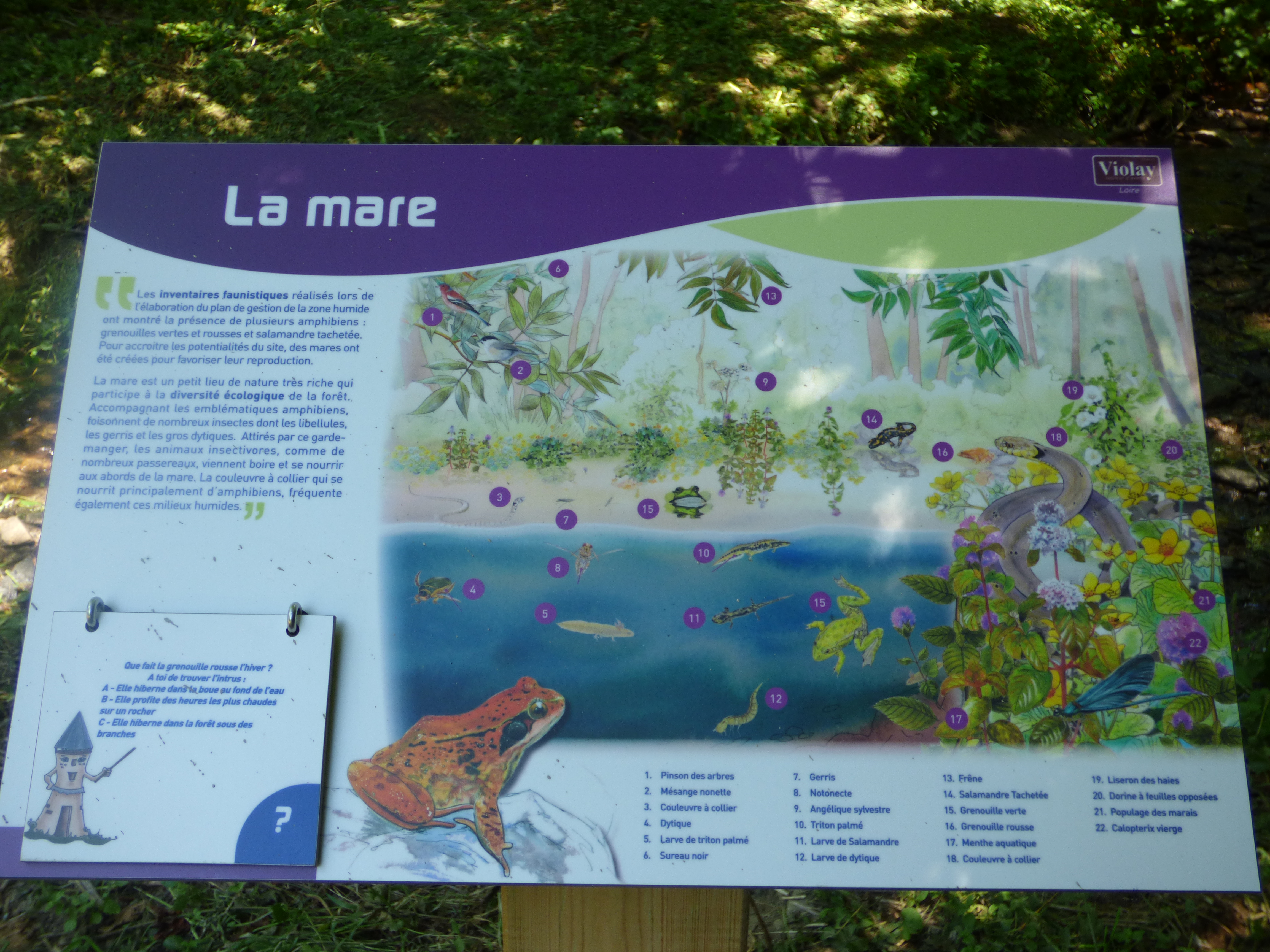 Sentier pédagogique - Entre ruisseau et forêt
