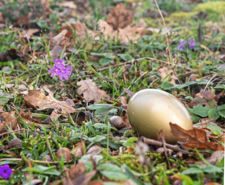 Chasse aux Oeufs géante_Peaugres
