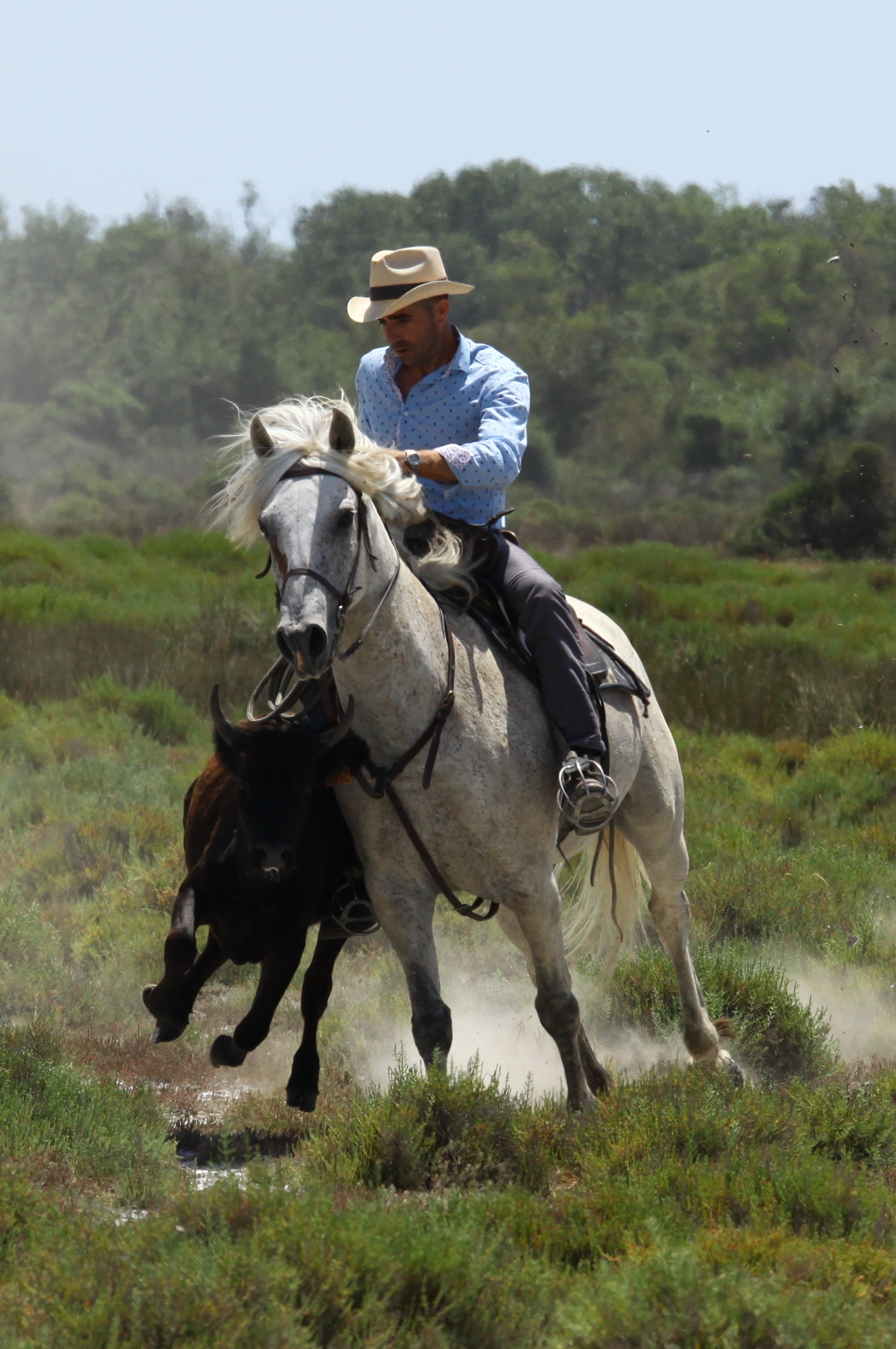 Balade en 4×4 à la manade Jacques Bon
