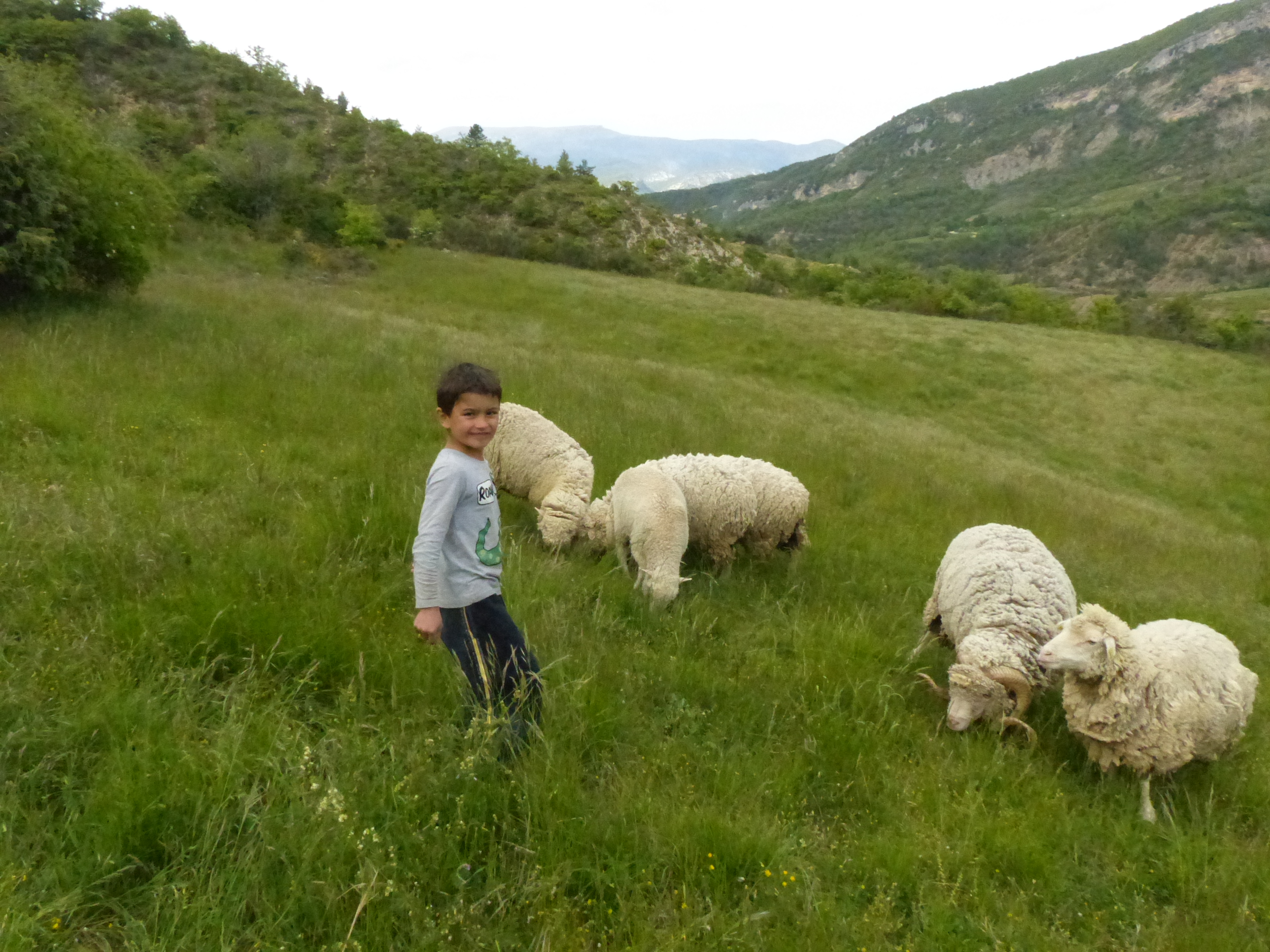 Ferme des Aygues