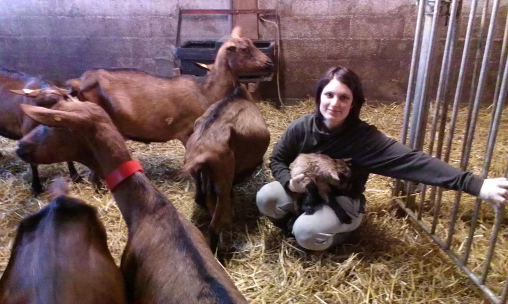 La ferme des Chardons