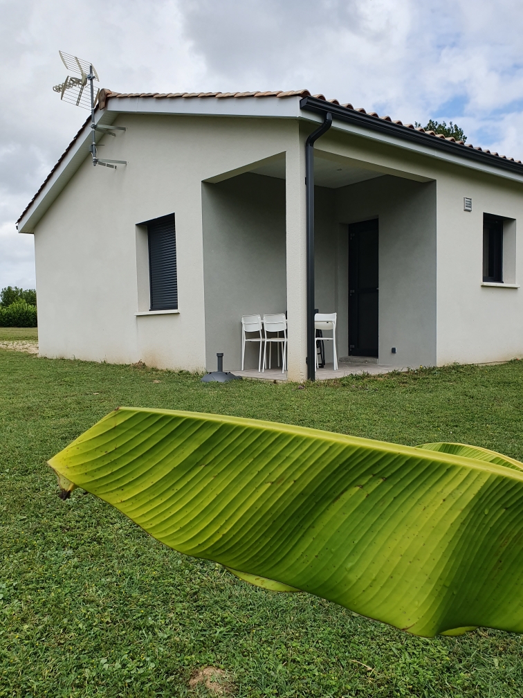 Chapron Coralie - Bouton d'Or