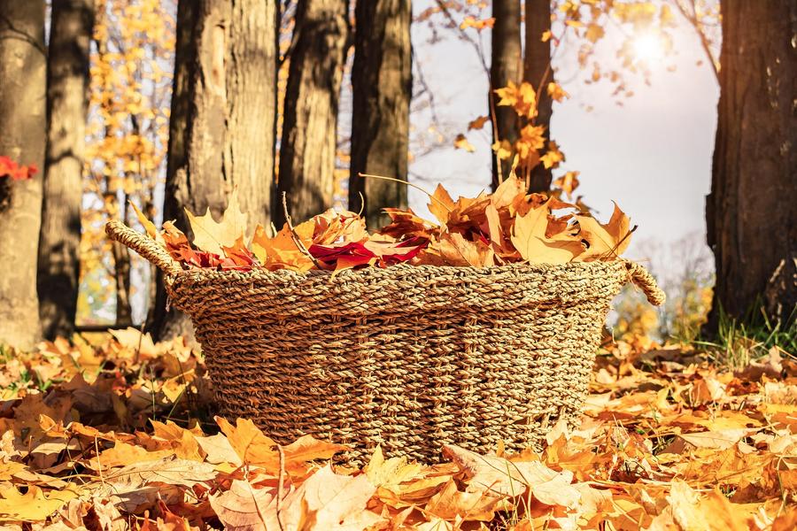 Foire d'automne