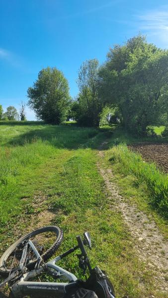 Circuit VTT-VTC n°25 (rouge) Comté de Montrevel - Domaine du Sougey_Montrevel-en-Bresse
