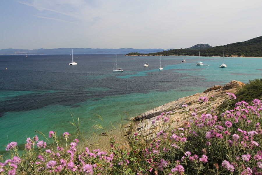 Plage de la Courtade - île de porquerolles - Hyères