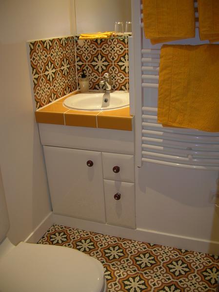 lavabo, WC et douche dans la même pièce.