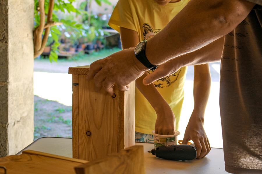 Un nichoir pour les oiseaux
