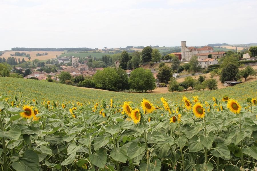 Village des Coteaux du Blanzacais