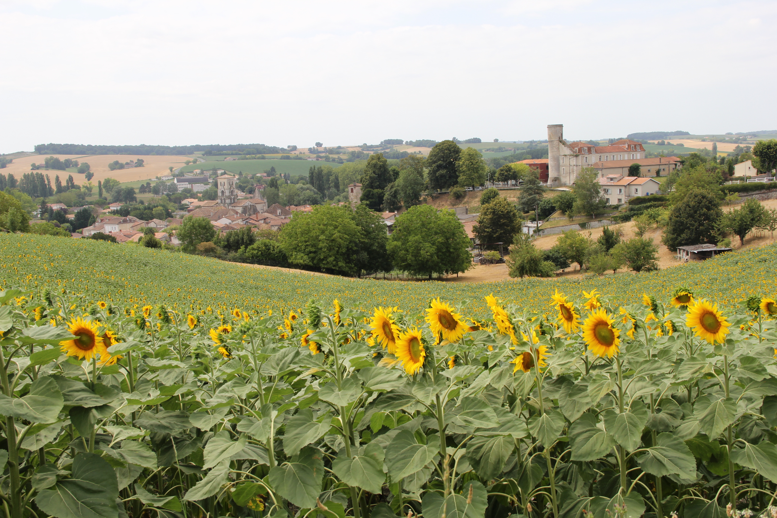 Village des Coteaux du Blanzacais