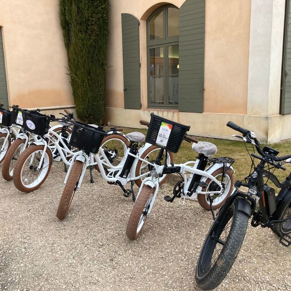 Amour, vignes et vélo