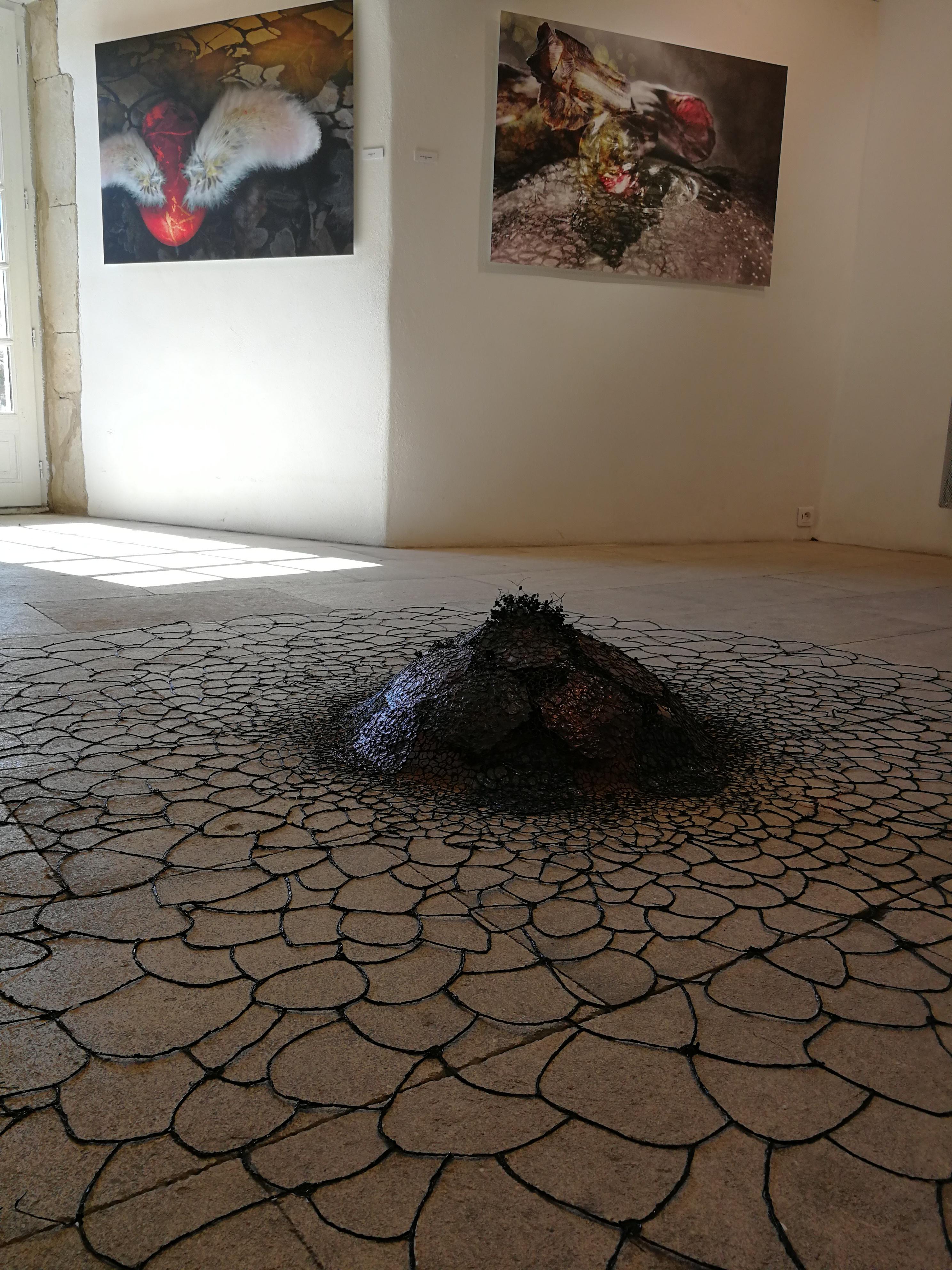 Exemple expo - Maison de la Tour