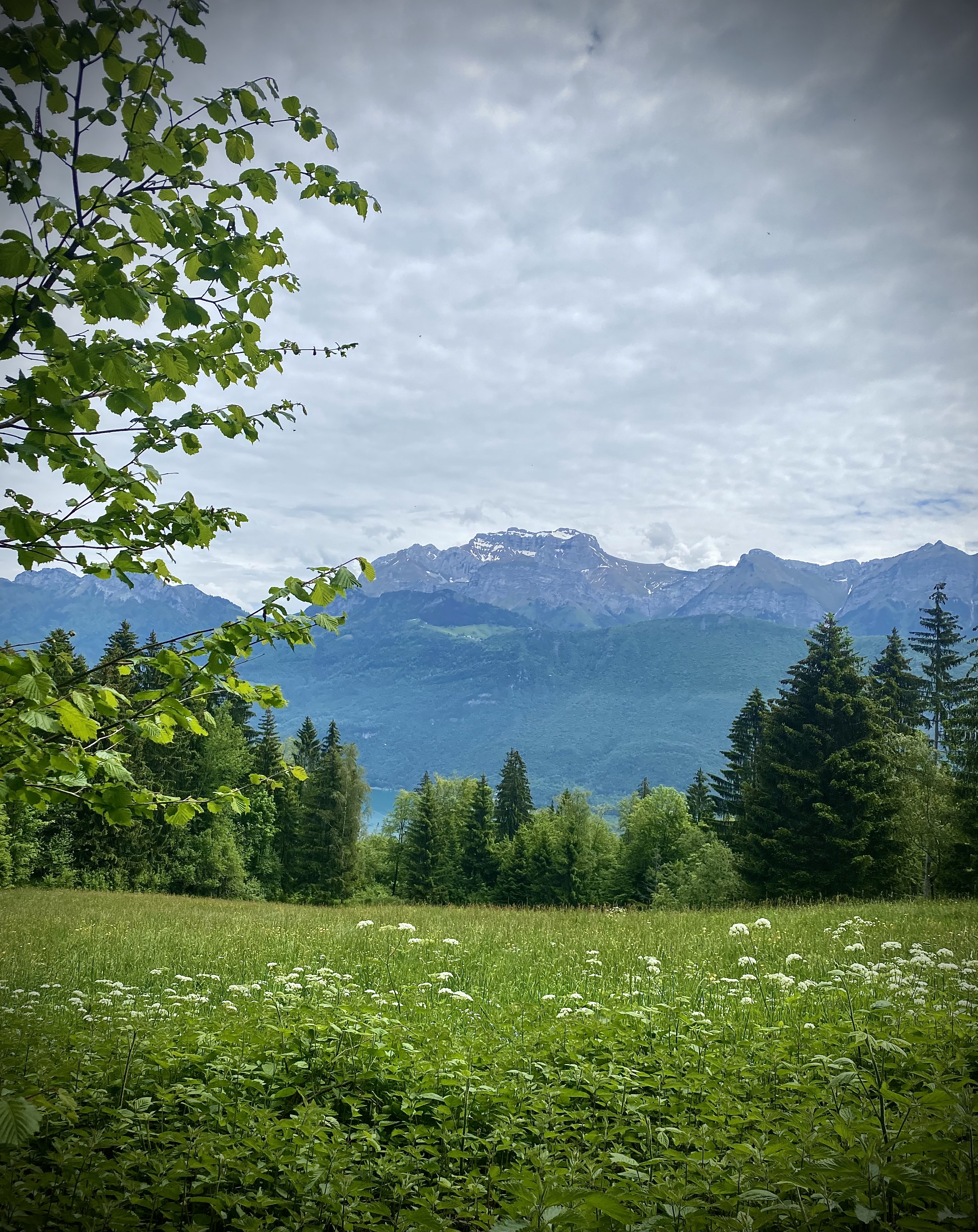 photosFeed-https://static.apidae-tourisme.com/filestore/objets-touristiques/images/53/235/32172853.jpg