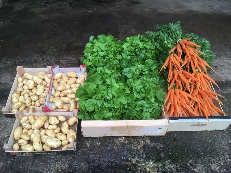 Cagettes remplis de bons légumes produits sur la ferme Cagettes remplis de bons légumes produits sur la ferme