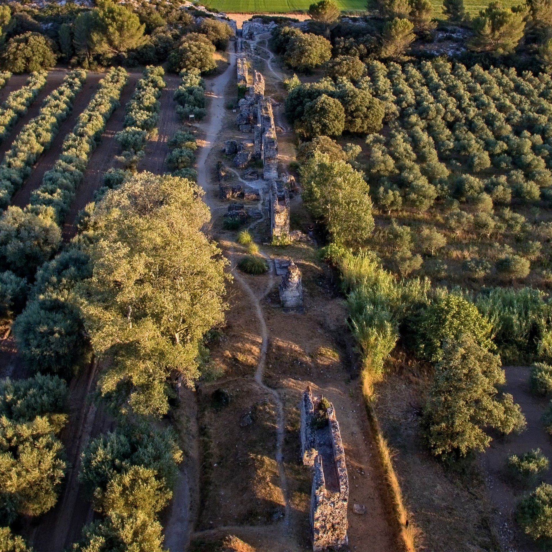Aqueducs romains de Barbegal