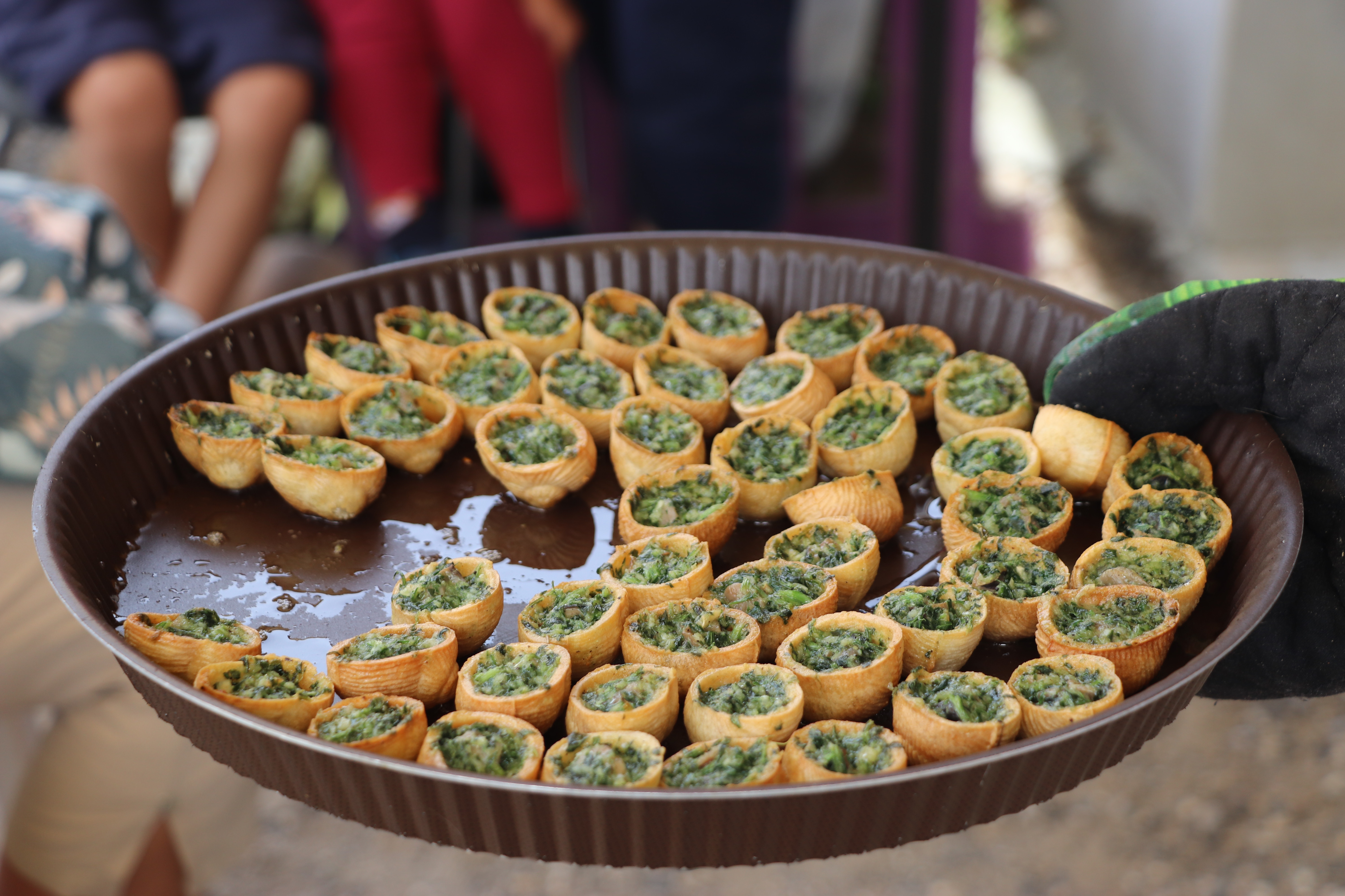 Visite-dégustation au Domaine de l'escargot_Servas