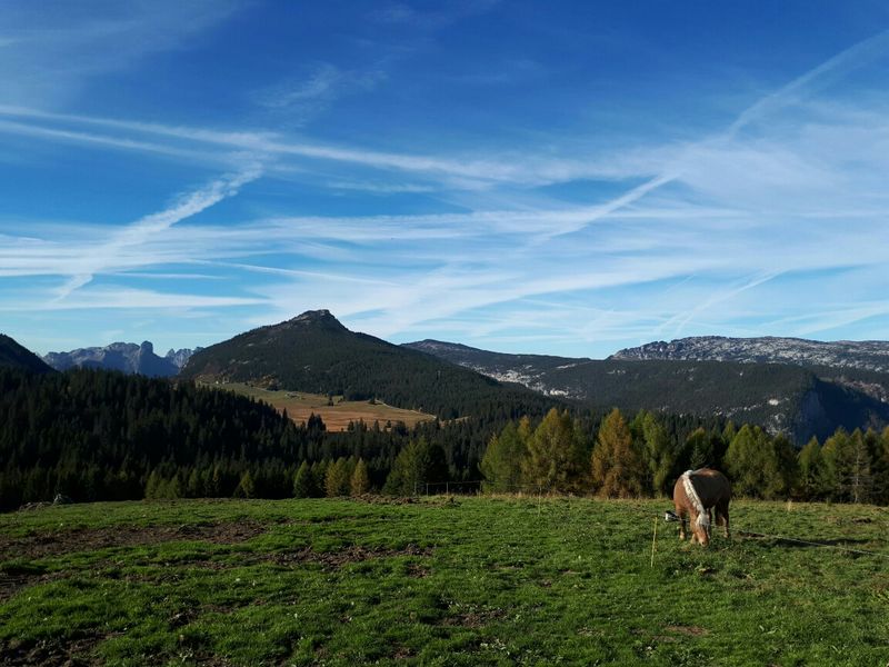 Parmelan et Dents de Lanfon