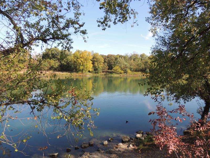 Circuit VTT 222 - Les Lônes du Rhône_Millery