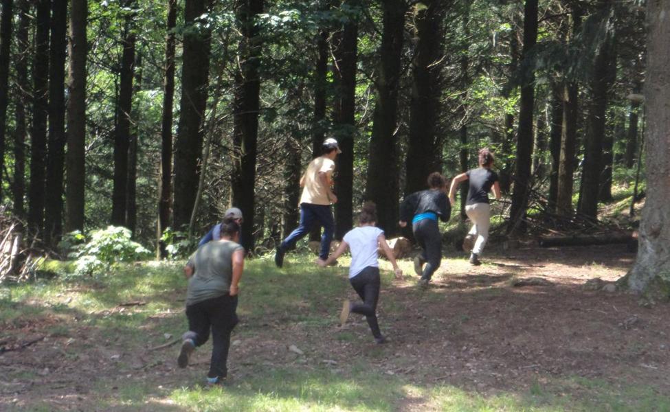 Jeux en forêt - Gîte d\'enfants \