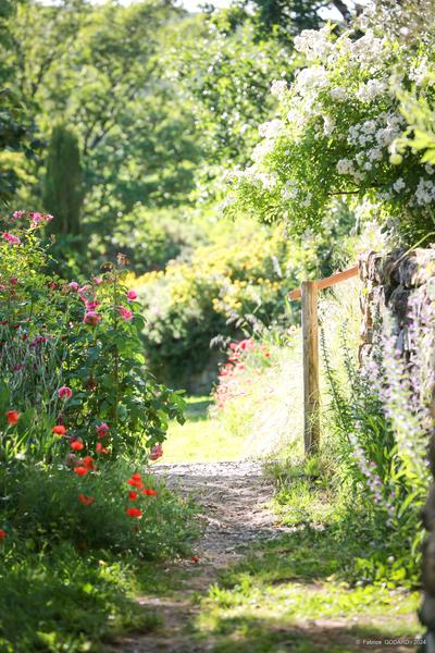 Jardin de l\'abbaye de Valsaintes
