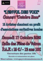 Affiche Pays Voironnais en scène