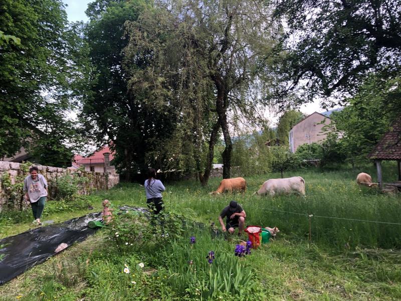 Jardin participatif ouvert aux hôtes. Venez préparer les semences et planter les plantons. Jardin participatif ouvert aux hôtes. Venez préparer les semences et planter les plantons.
