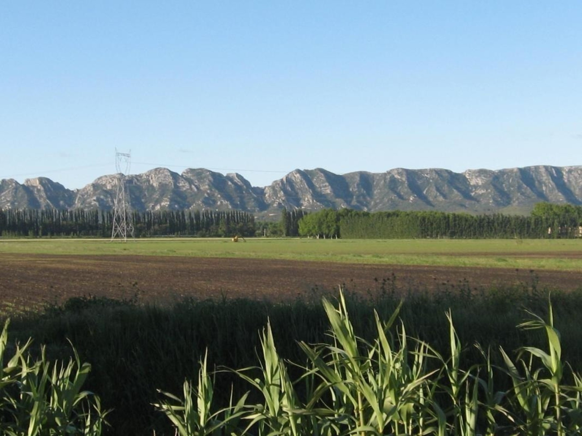 La Roubine, Mollégès - photo 30