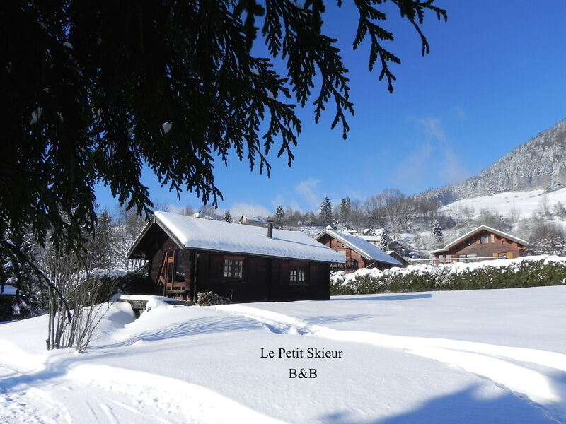 Vue extérieure du chalet