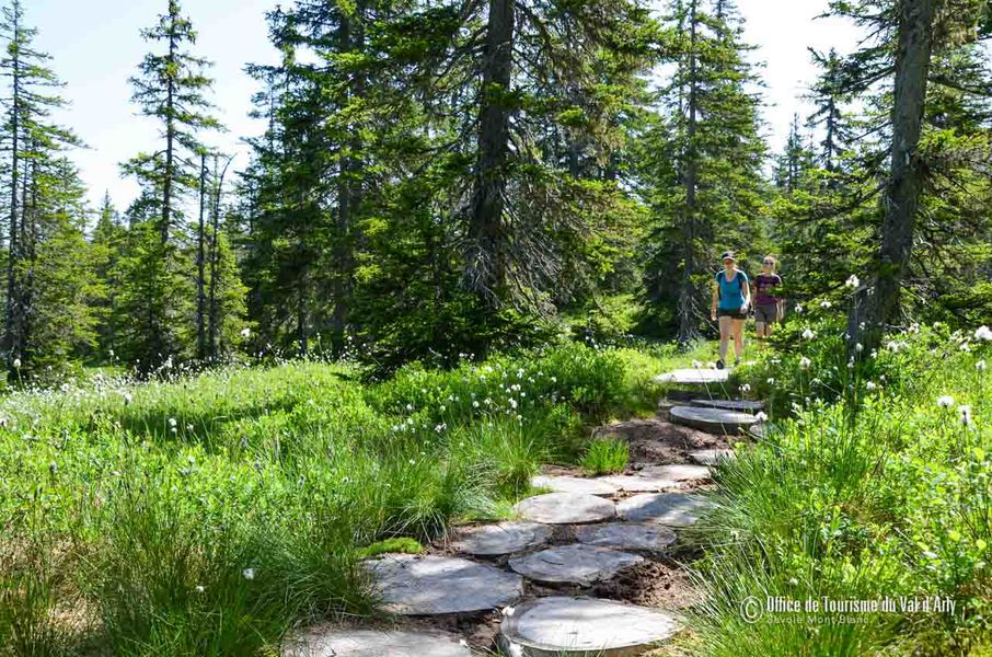 Sentier des Arpelières