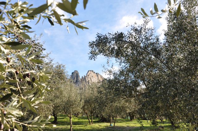 hautes terres de provence