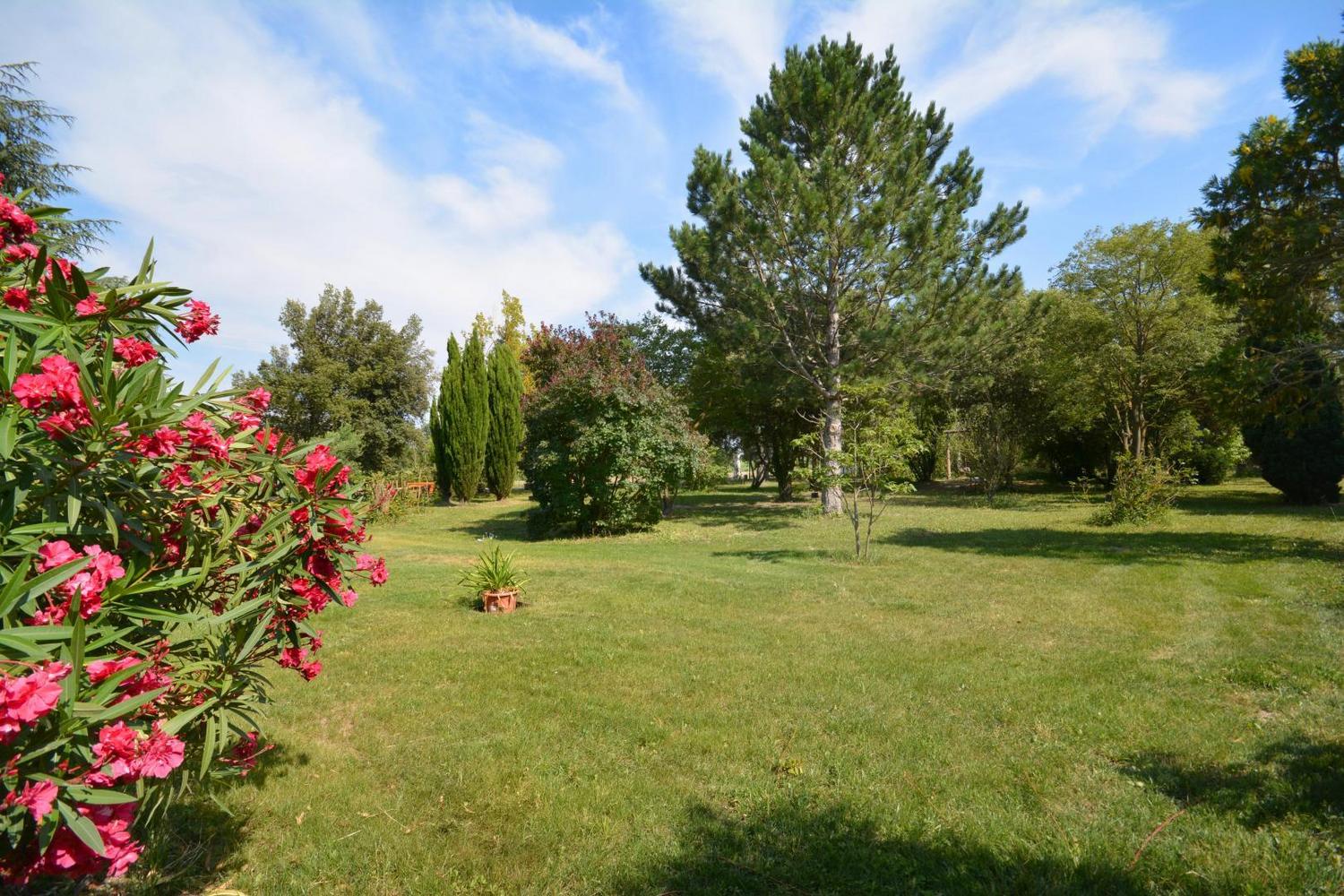 Mas des Princes, Noves - photo 26