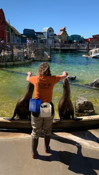 Animation VIP - Soigneur d'un jour_Peaugres