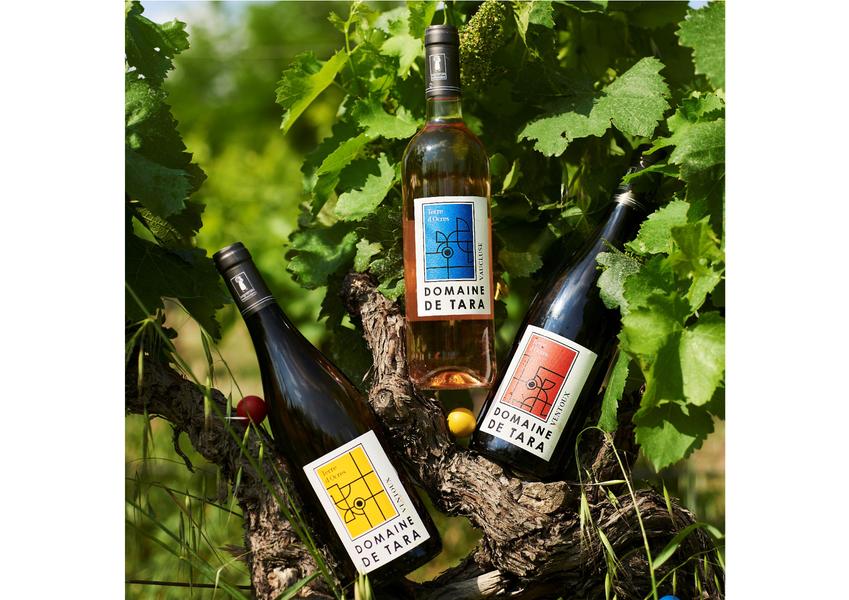 2  Domaine de Tara